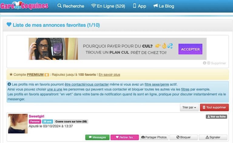 Gare-aux-coquine-profil